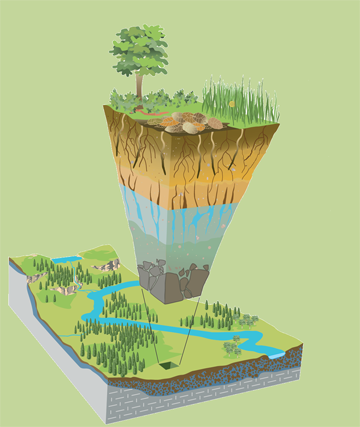 Where rock meets life: Researchers at NSF's Critical Zone Observatories study Earth's surface.: Photograph courtesy of NSF